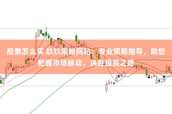 股票怎么买 玖玖策略网站：专业策略指导，助您把握市场脉动，决胜投资之路