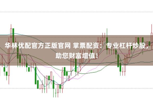 华林优配官方正版官网 掌票配资：专业杠杆炒股，助您财富增值！