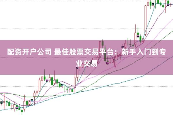 配资开户公司 最佳股票交易平台：新手入门到专业交易