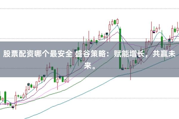 股票配资哪个最安全 盛谷策略：赋能增长，共赢未来。
