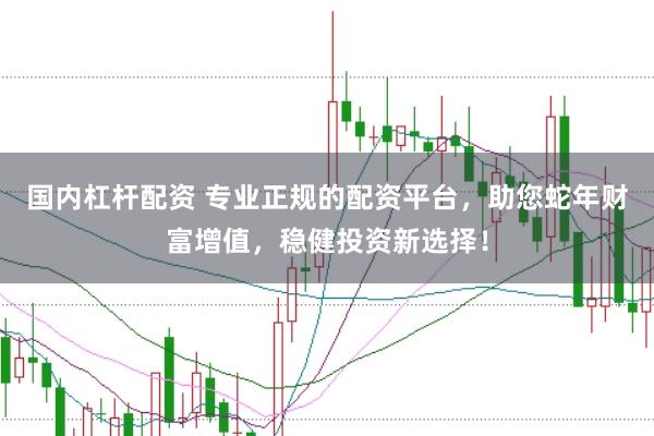 国内杠杆配资 专业正规的配资平台，助您蛇年财富增值，稳健投资新选择！