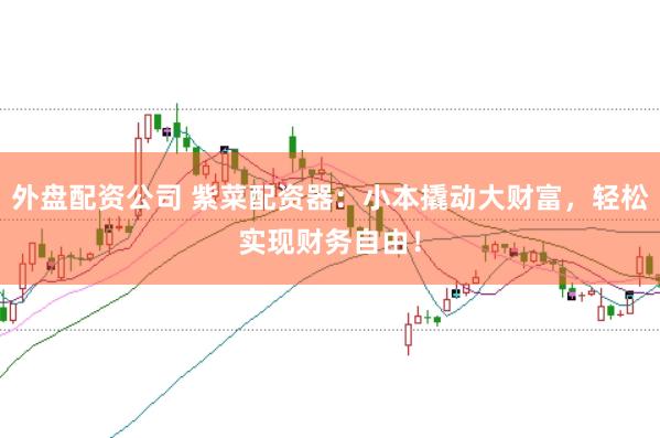 外盘配资公司 紫菜配资器：小本撬动大财富，轻松实现财务自由！