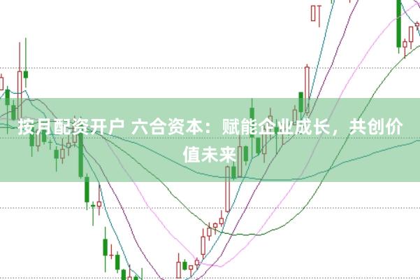按月配资开户 六合资本：赋能企业成长，共创价值未来