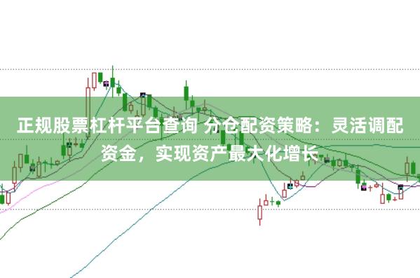 正规股票杠杆平台查询 分仓配资策略：灵活调配资金，实现资产最大化增长