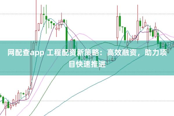 网配查app 工程配资新策略：高效融资，助力项目快速推进