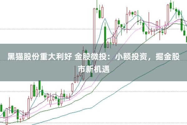 黑猫股份重大利好 金股微投：小额投资，掘金股市新机遇