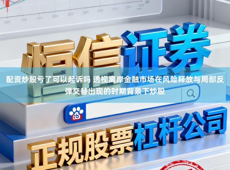 配资炒股亏了可以起诉吗 透视离岸金融市场在风险释放与局部反弹交替出现的时期背景下炒股