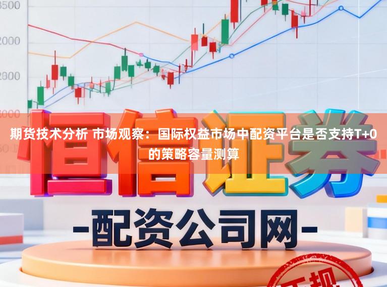 期货技术分析 市场观察：国际权益市场中配资平台是否支持T+0的策略容量测算